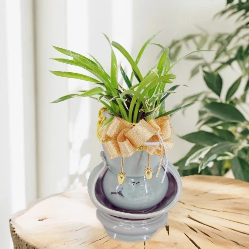 환희 상품 사진